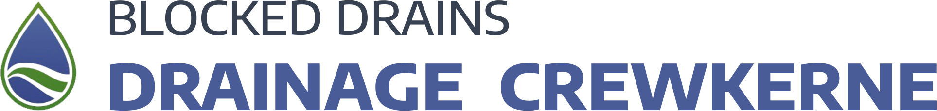 website logo